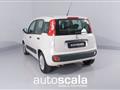 FIAT PANDA 1.3 MJT 95 CV S&S Easy