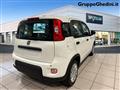 FIAT PANDA 1.0 FireFly S&S Hybrid Pandina