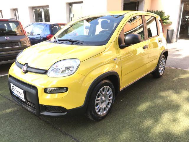 FIAT PANDA 1.0 FireFly S&S Hybrid Pandina