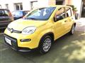 FIAT PANDA 1.0 FireFly S&S Hybrid Pandina