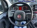 FIAT PANDA 1.0 FireFly S&S Hybrid - Neopatentati