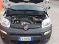 FIAT PANDA 1.3 Multijet 4x4 VAN 2 POSTI