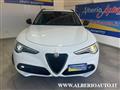 ALFA ROMEO STELVIO 2.2 Turbodiesel 190 CV AT8 Q4 B-Tech