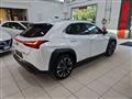 LEXUS UX Hybrid Luxury