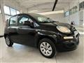 FIAT PANDA 1.2 Lounge 69CV Neopatentati Ok