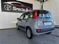 FIAT PANDA 1.2 benz. soli 41000km