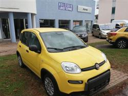 FIAT PANDA 1.0 FireFly S&S Hybrid Pandina