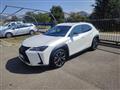 LEXUS UX Hybrid Executive