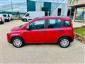 FIAT PANDA 1.0 HYBRID *5 POSTI-SENSORI-RADIO-BLUETOOTH*