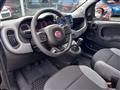 FIAT PANDA 1.0 FireFly Hybrid City Cross (CON ECO-INCENTIVO)