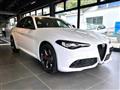 ALFA ROMEO GIULIA 2.2 Turbodiesel 210 CV AT8 AWD Q4 Tributo Italian