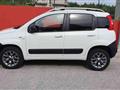 FIAT PANDA 1.3 Multijet 4x4 VAN 2 POSTI