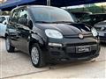 FIAT Panda 1.2 Easy s&s 69cv my19