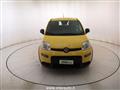 FIAT PANDA 1.0 firefly hybrid s&s 70cv