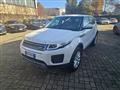 LAND ROVER RANGE ROVER EVOQUE 2.0 eD4 5p. Pure