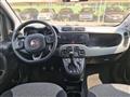 FIAT PANDA 1.2 Lounge 69cv MY19