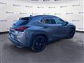 LEXUS UX Hybrid 4WD Midnight