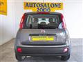 FIAT PANDA 1.2 Easy  NEOPATENTATI