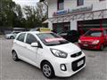 KIA PICANTO 1.0 12V 5 porte Cool NEOPATENTATI