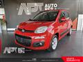 FIAT PANDA 1.2 Lounge 69cv