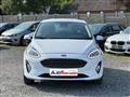 FORD FIESTA 1.0 Ecoboost 100 CV 5 porte Titanium