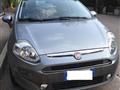 FIAT PUNTO 1.3 Mjt 95 CV DPF 5 porte S&S Dualogic Dynamic