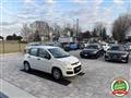 FIAT PANDA 1.2 Easy ANCHE PER NEOPATENTATI