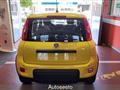 FIAT PANDA 1.0 FireFly S&S Hybrid Pandina