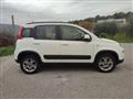 FIAT PANDA 1.3 MJT S&S 4x4