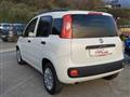 FIAT Panda 1.3 mjt 16v Easy s&s 80cv my19