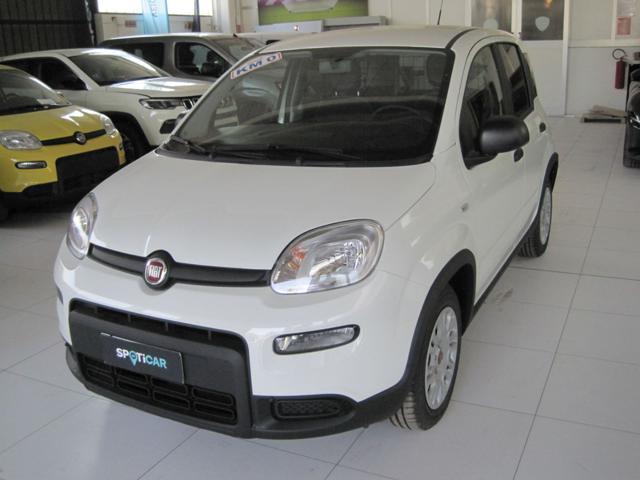 FIAT PANDA VAN 1.0 S&S Hybrid Van 2 posti