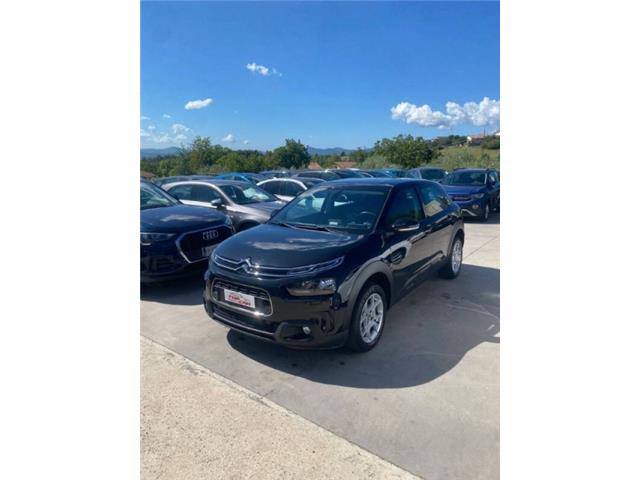 CITROEN C4 Cactus 1.6 bluehdi Shine s&s 100cv