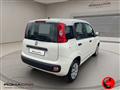 FIAT PANDA 1.2 Pop