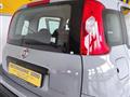 FIAT PANDA 1.0 FireFly S&S Hybrid City Life  5 POSTI