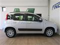 FIAT PANDA 1.2 69 CV Lounge 5 POSTI