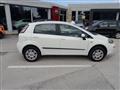 FIAT PUNTO 1.4 8V 5 porte Natural Power Lounge