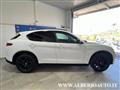 ALFA ROMEO STELVIO 2.2 Turbodiesel 190 CV AT8 Q4 B-Tech