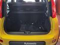 FIAT PANDA 1.0 FireFly S&S Hybrid Pandina