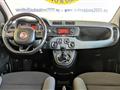 FIAT PANDA 1.2 Easy  NEOPATENTATI