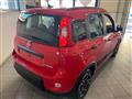 FIAT PANDA 1.0  Hybrid City Life 13.900