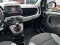 FIAT PANDA 1.0 FireFly Hybrid City Cross (CON ECO-INCENTIVO)