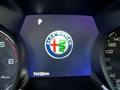 ALFA ROMEO Stelvio 2.2 T.diesel 190 CV AT8 Q4 Super