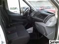 FORD Transit CASSONE FISSO 4,20 METRI