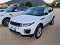 LAND ROVER Range Rover Evoque 2.0 TD4 5p. SE