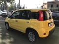 FIAT PANDA 1.0 FireFly S&S Hybrid Pandina