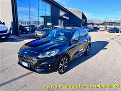 FORD KUGA 2.0 EcoBlue 190 CV aut. AWD ST-Line X