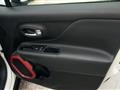 JEEP RENEGADE 2.0 Mjt 170CV 4WD Automatico Trailhawk