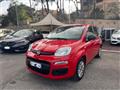 FIAT PANDA 1.0 FireFly S&S Hybrid *IVA ESPOSTA* NEOPATENTATI