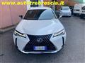 LEXUS UX Hybrid Business