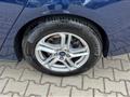 FORD FOCUS 1.5 EcoBlue 95 CV SW Business